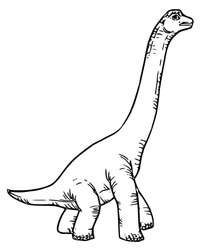 Coloriage Un Brachiosaure