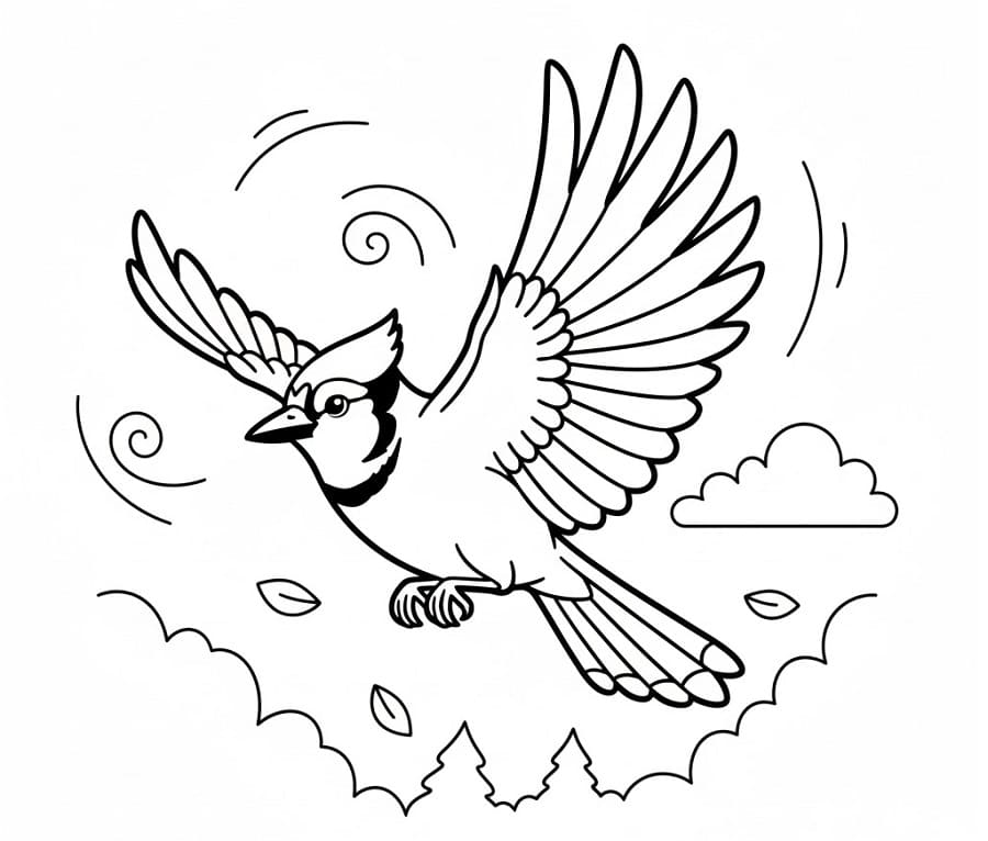 Coloriage Geai bleu volant