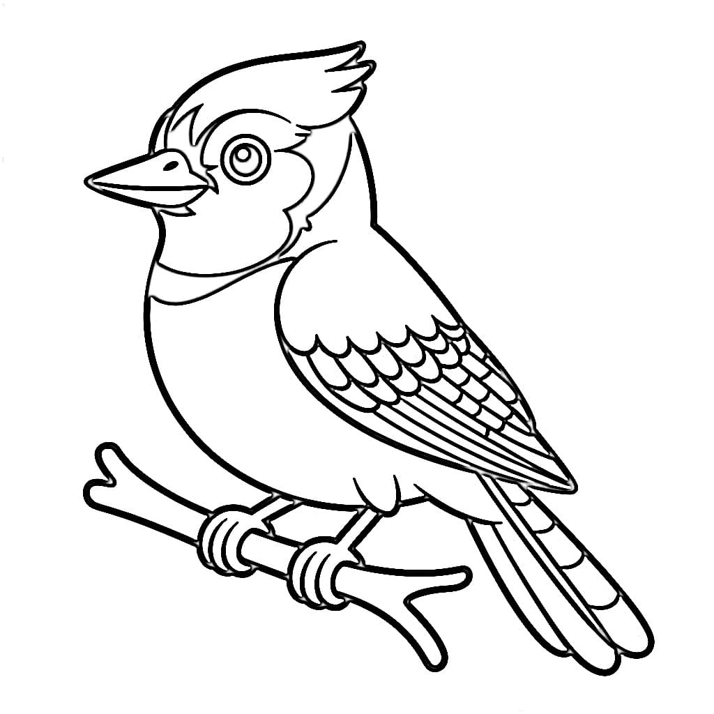 Coloriage Joli geai bleu