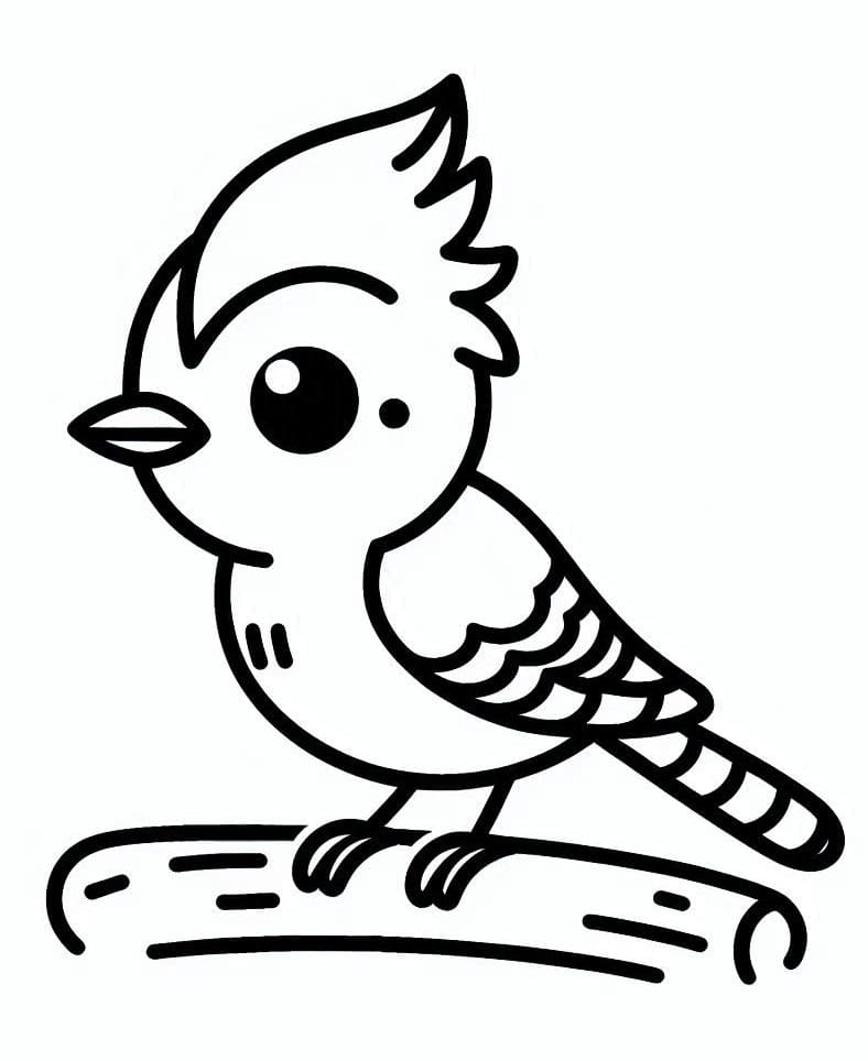 Coloriage Un Geai Bleu Mignon