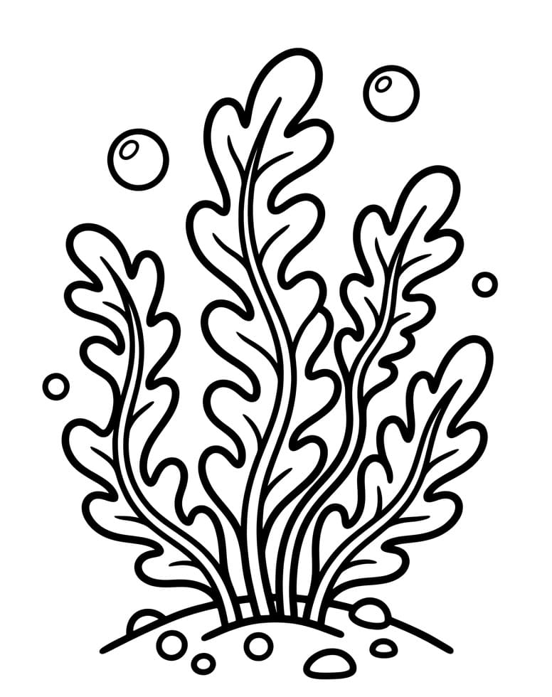 Coloriage Algue Marine