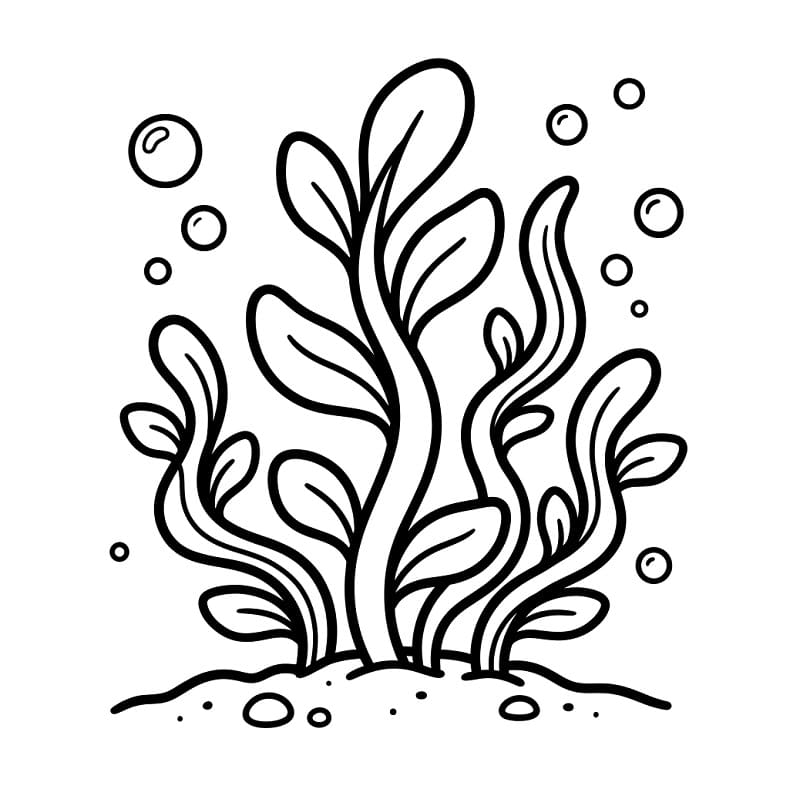 Coloriage Algues De Mer