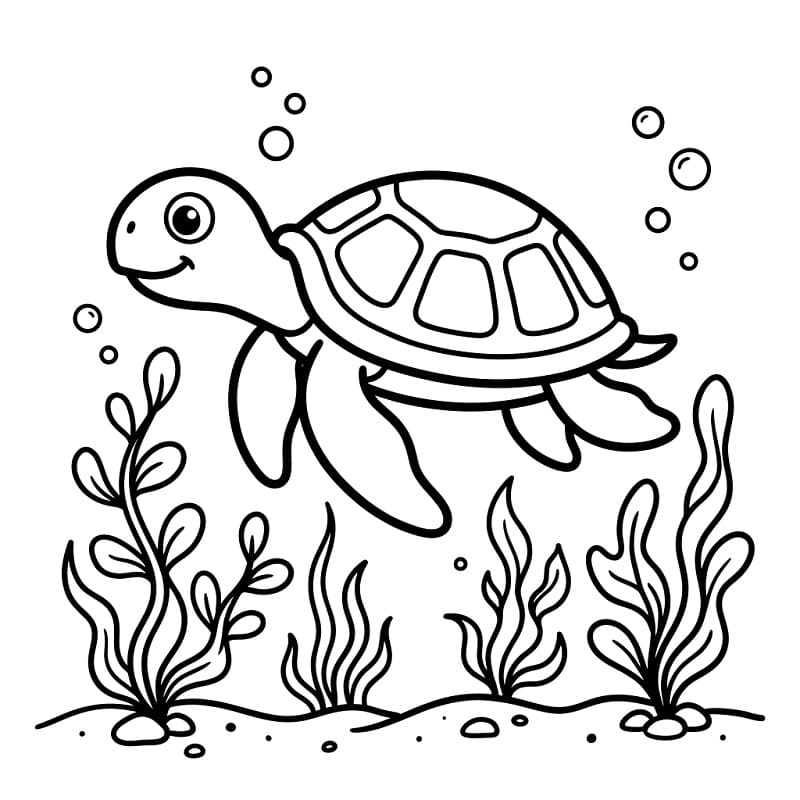 Coloriage Algues et Tortue marine
