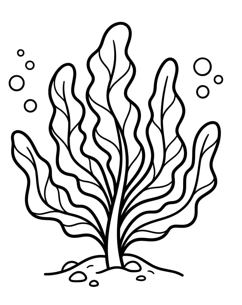 Coloriage Algues faciles