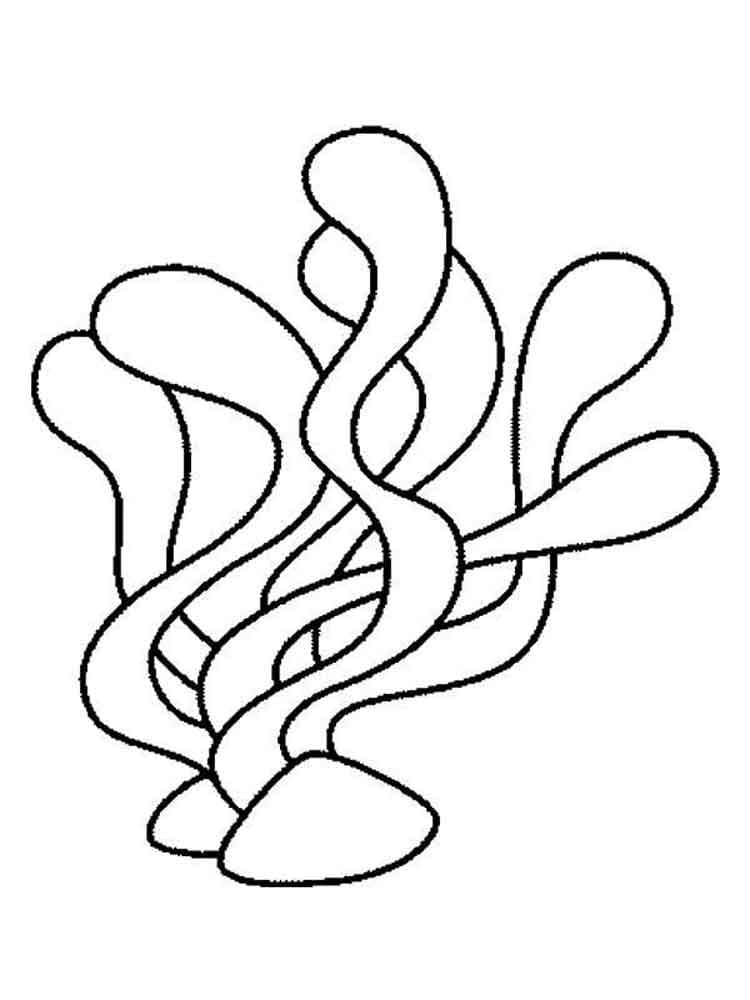 Coloriage Algues Imprimable Gratuit