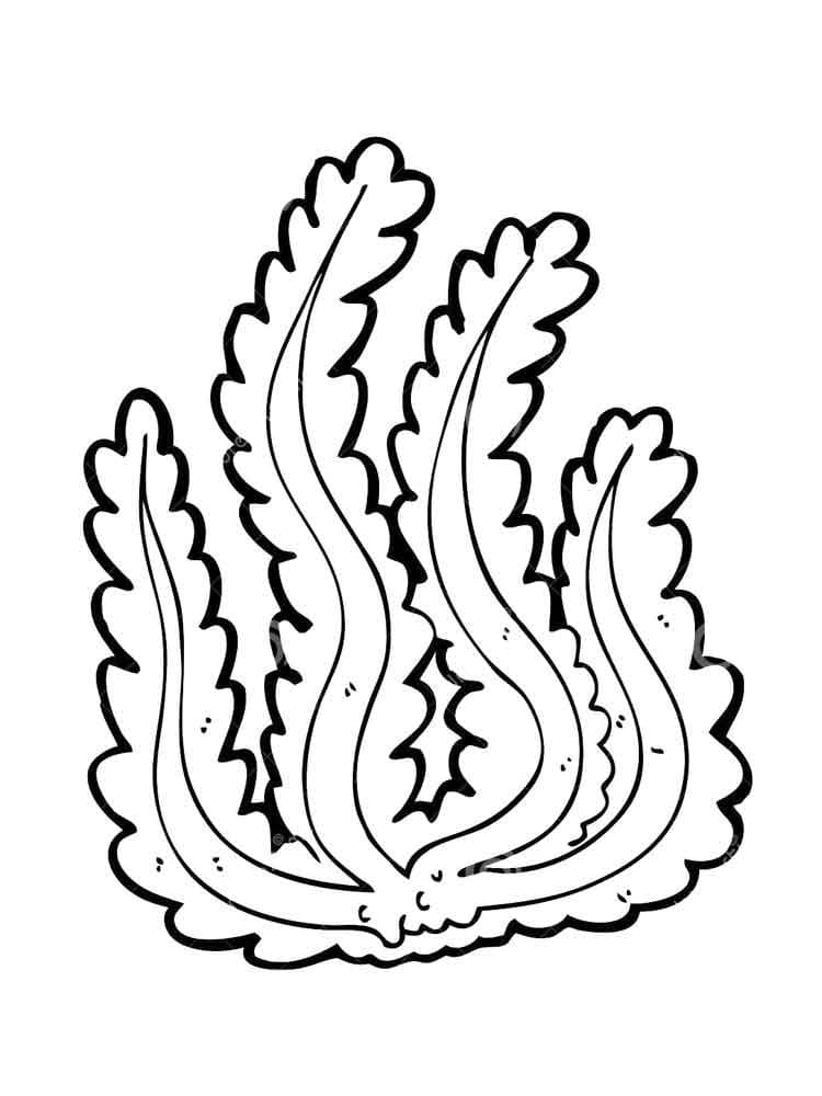 Coloriage Algues Imprimable Pour les Enfants