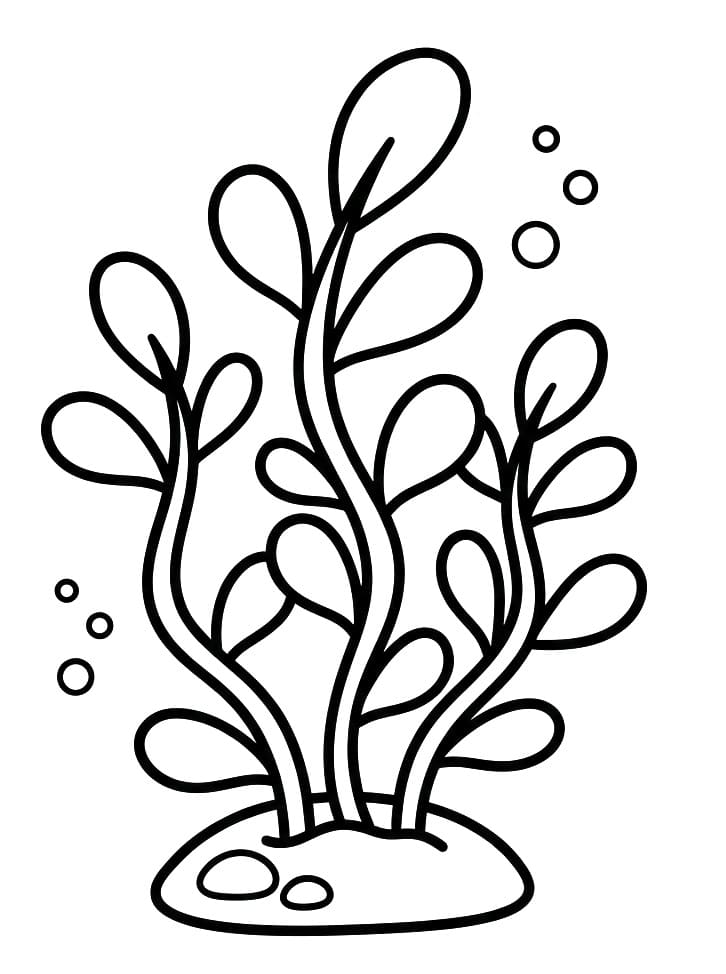 Coloriage Algues marines