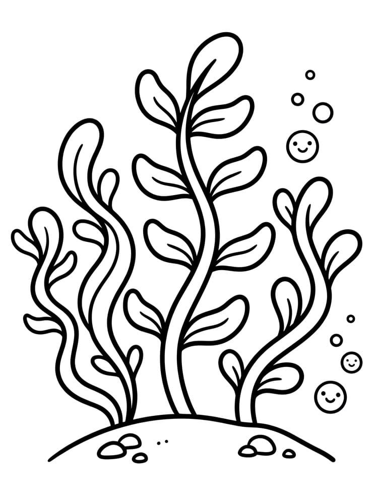 Coloriage Algues simples