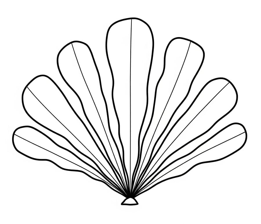 Coloriage Belles algues