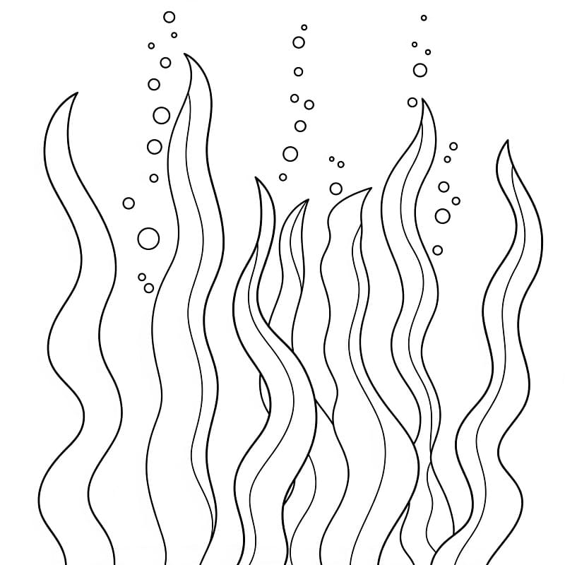 Coloriage Dessin de Algues Gratuit