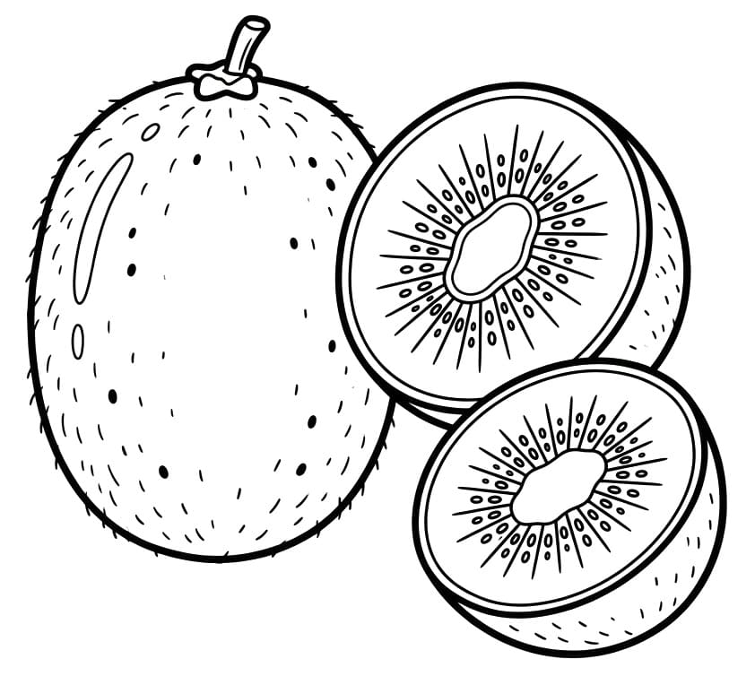 Coloriage Dessin Gratuit de Kiwi