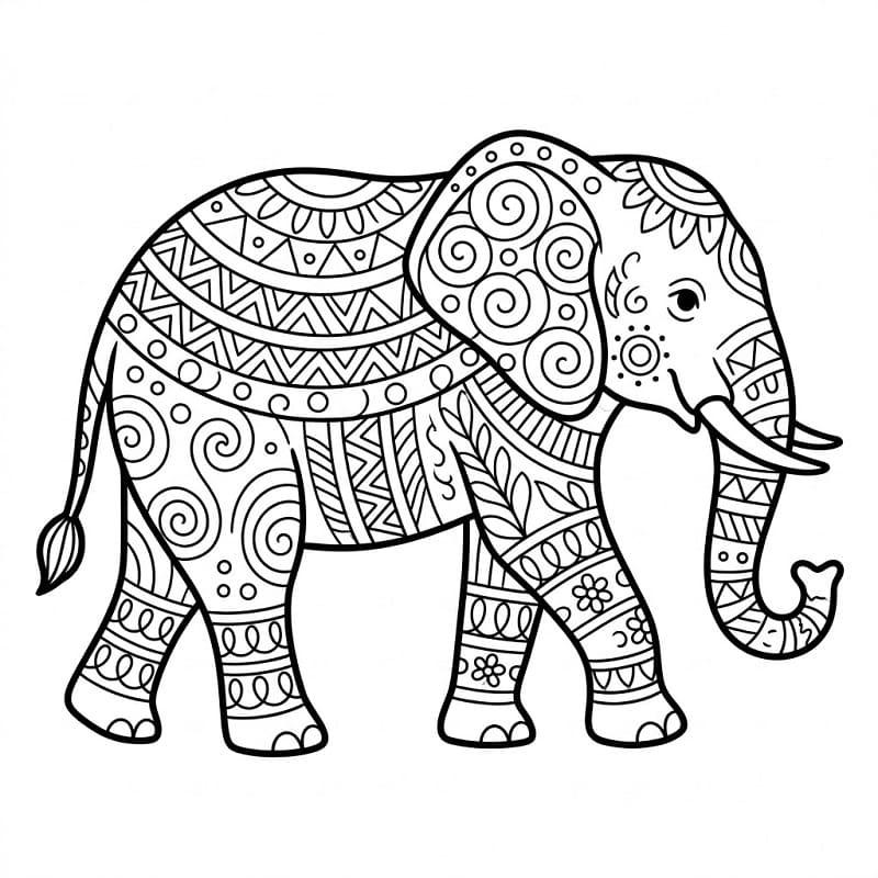 Coloriage Difficile Éléphant