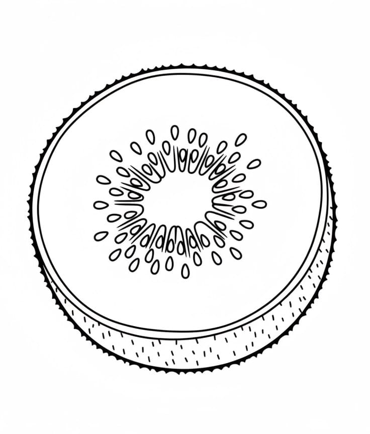 Coloriage Gratuit Kiwi Pour les Enfants