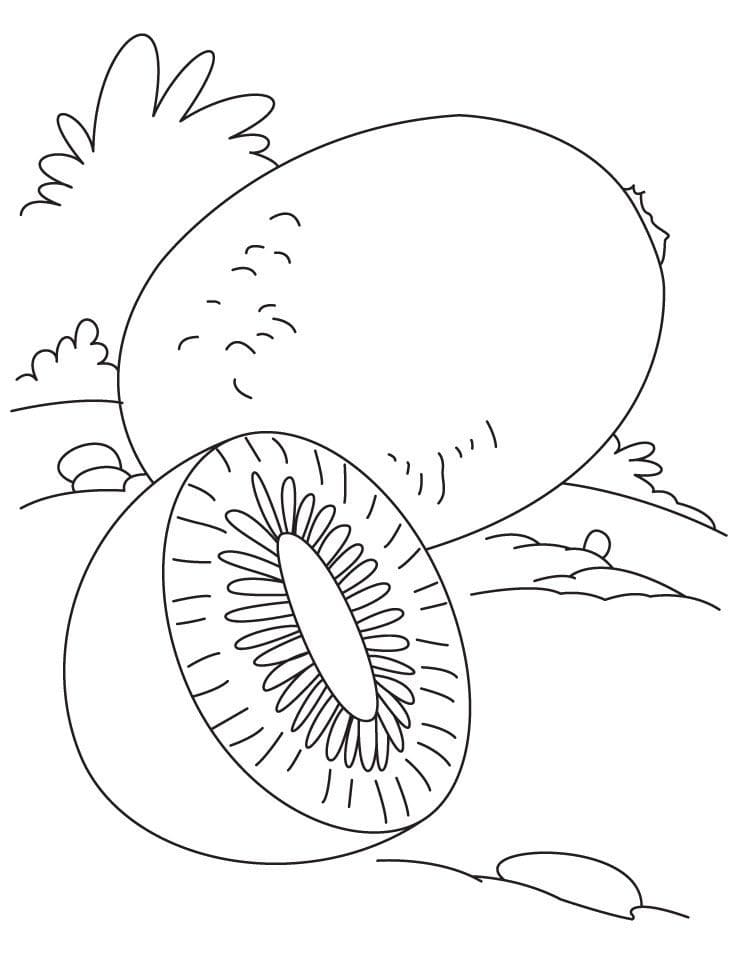 Coloriage Gratuit Kiwi