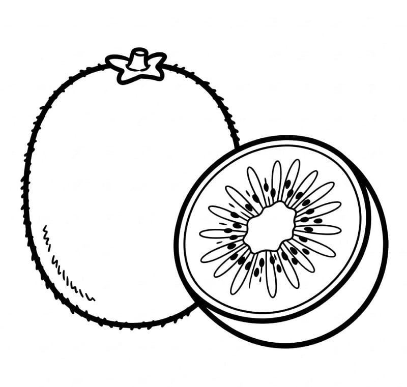Coloriage Imprimable Gratuit Kiwi Pour les Enfants