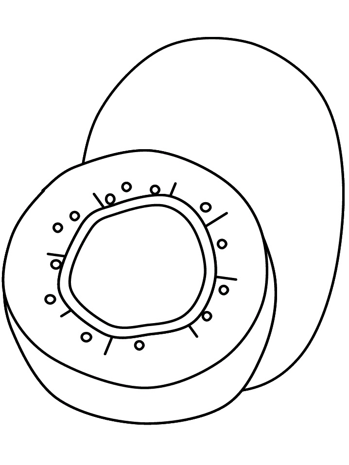 Coloriage Imprimable Kiwi Pour les Enfants