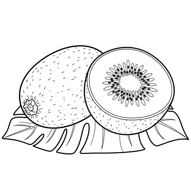 Coloriage Kiwi Imprimable