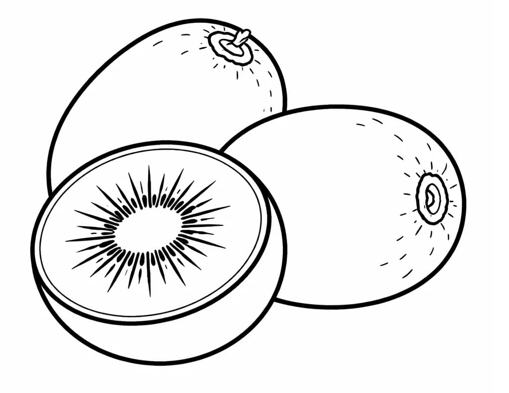 Coloriage Kiwi Pour Enfants