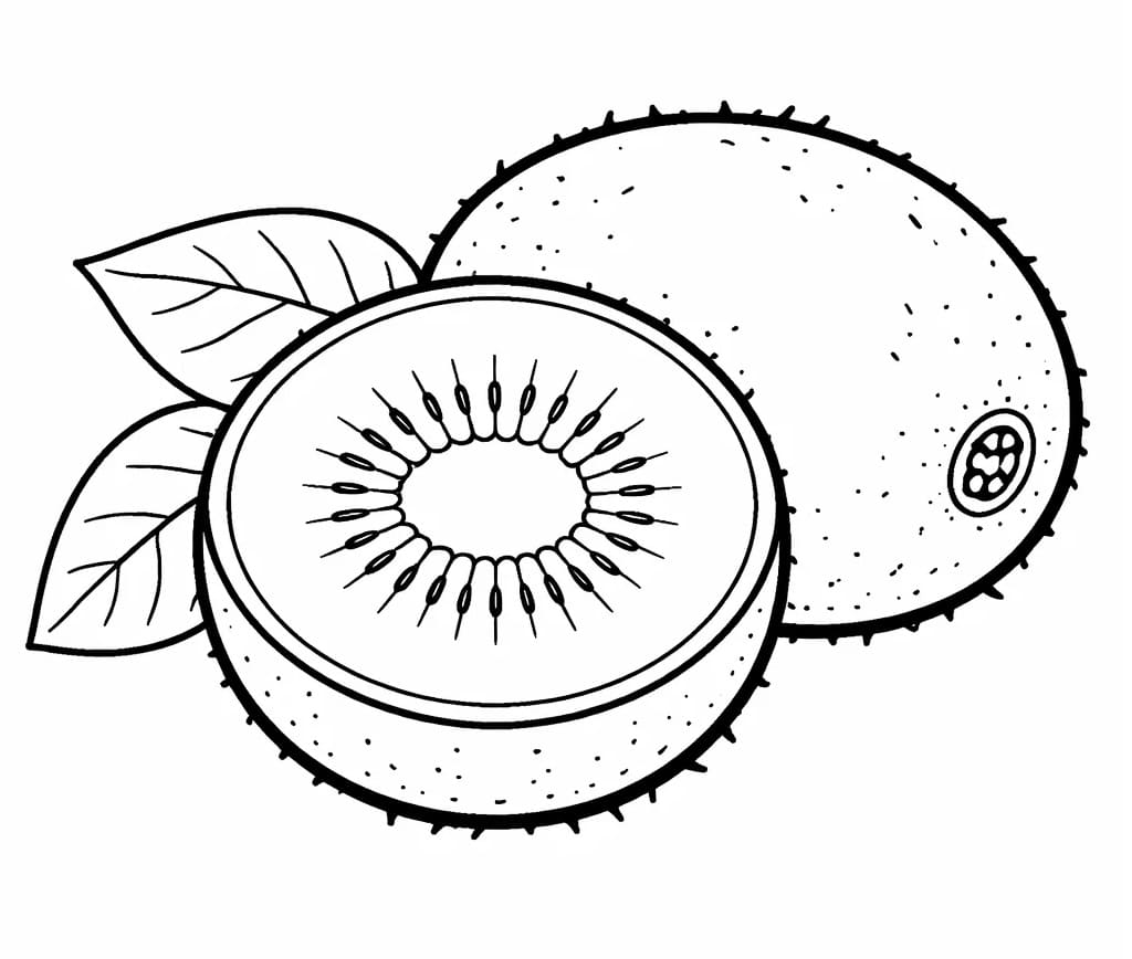 Coloriage Kiwi Pour les Enfants