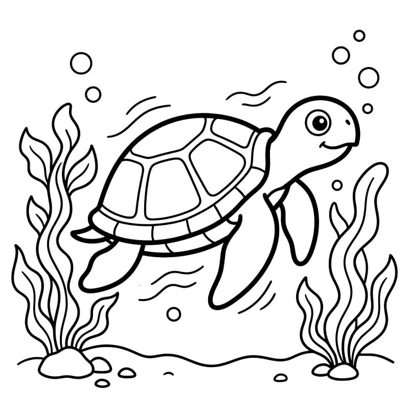 Coloriage Tortue marine et algues