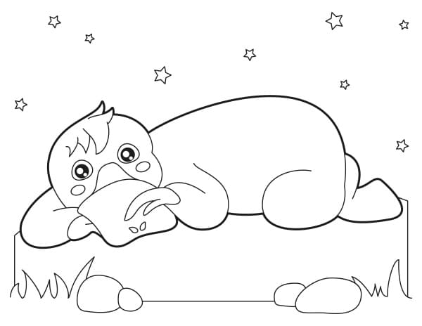 Coloriage Adorable ornithorynque