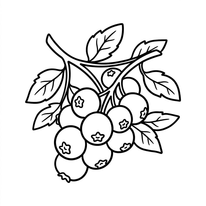 Coloriage Branche de myrtille