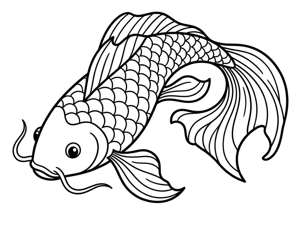 Coloriage Carpe Koi Imprimable