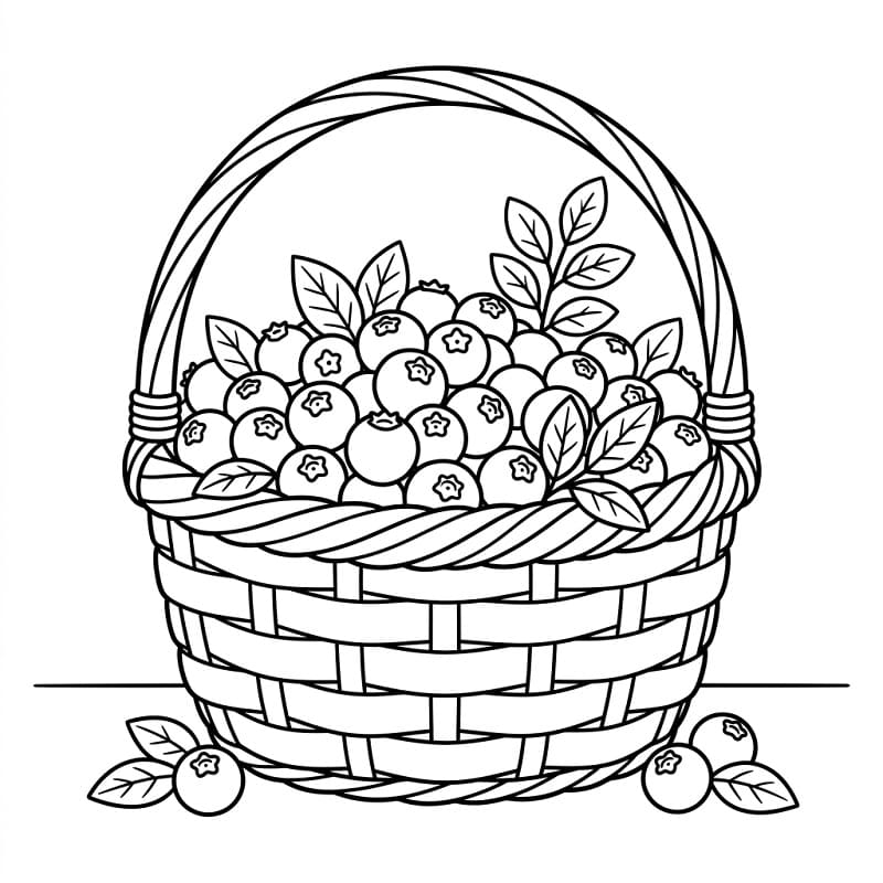 Coloriage Dessin de myrtille