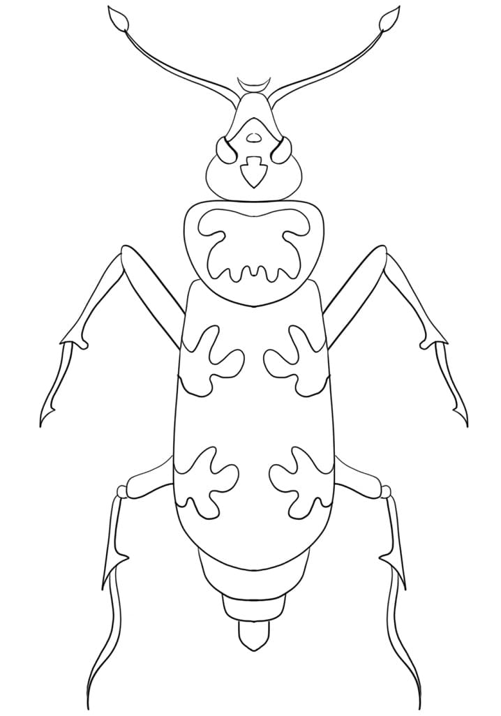 Coloriage Gratuit Scarabée