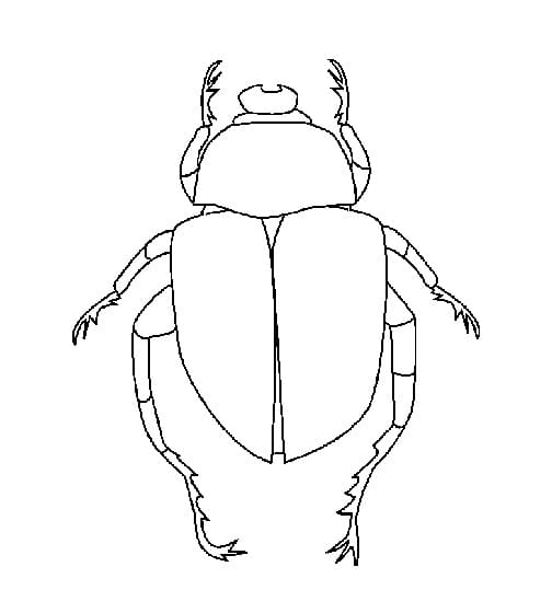 Coloriage Imprimable Scarabée Pour les Enfants
