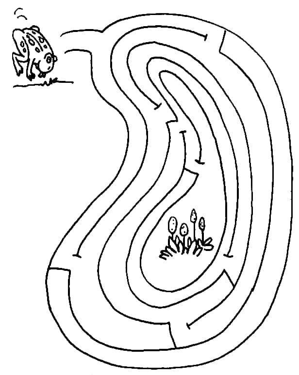 Coloriage La Grenouille et le Labyrinthe