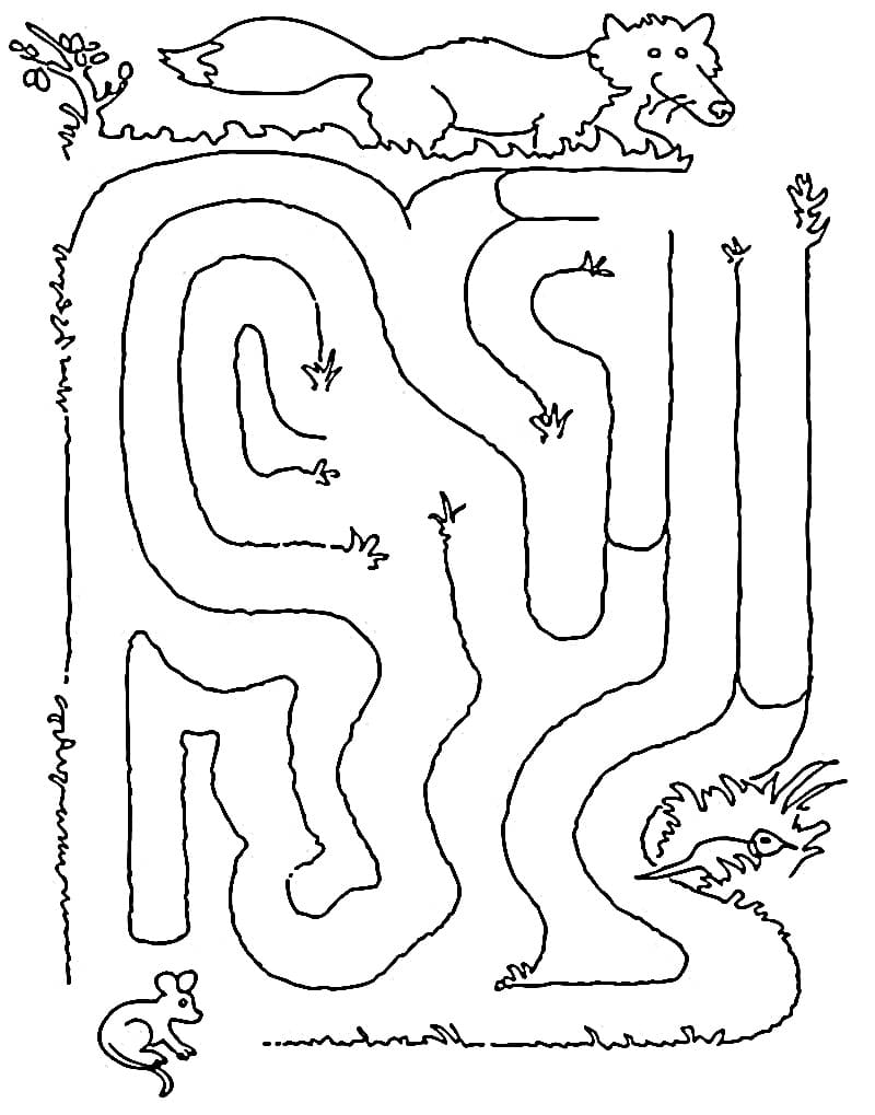 Coloriage Labyrinthe simple
