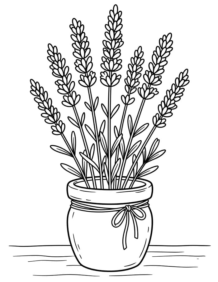 Coloriage Lavande Gratuit Pour les Enfants