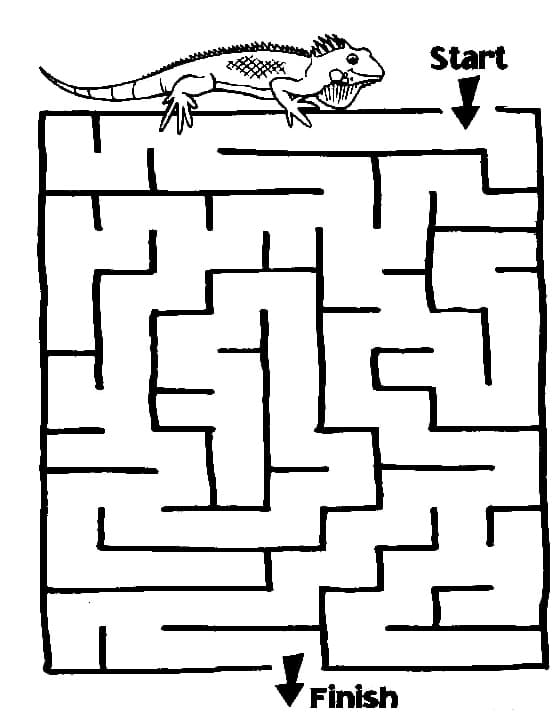 Coloriage Le lézard et le labyrinthe