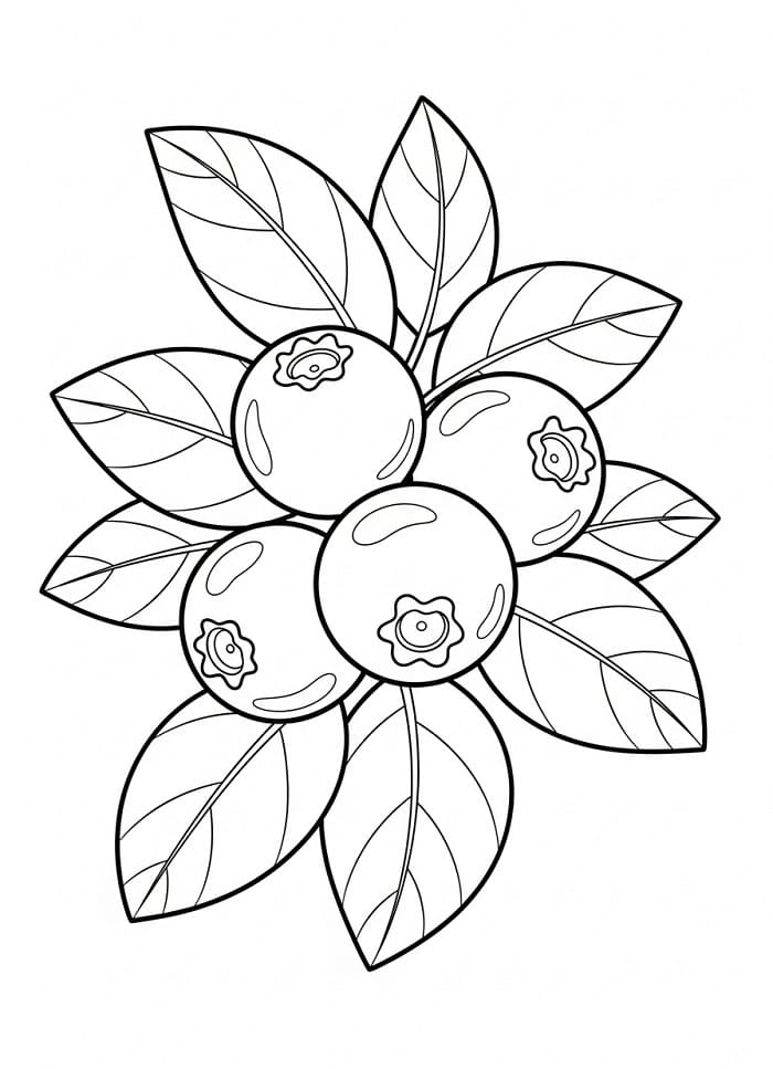 Coloriage Myrtille douce