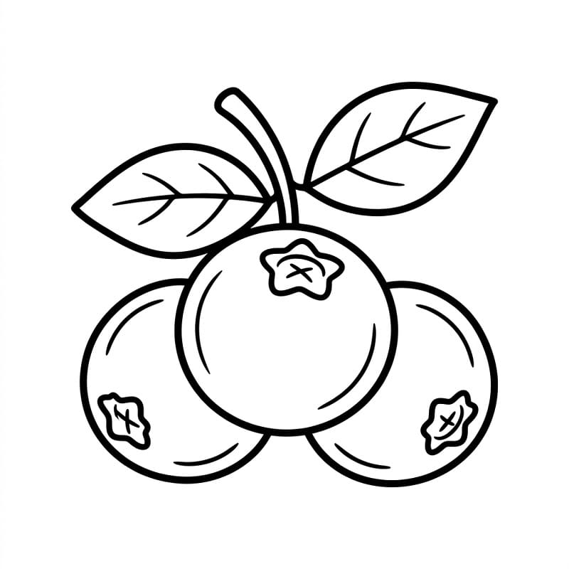 Coloriage Myrtille fraîche