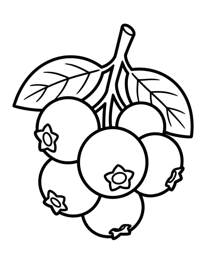 Coloriage Myrtilles à imprimer