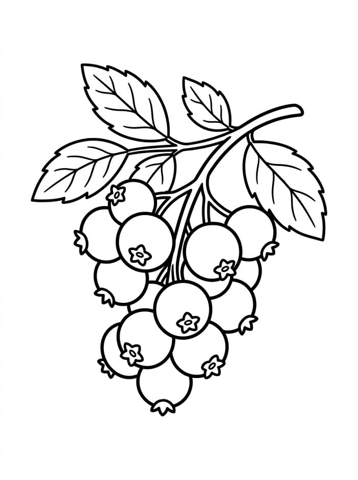 Coloriage Myrtilles gratuites