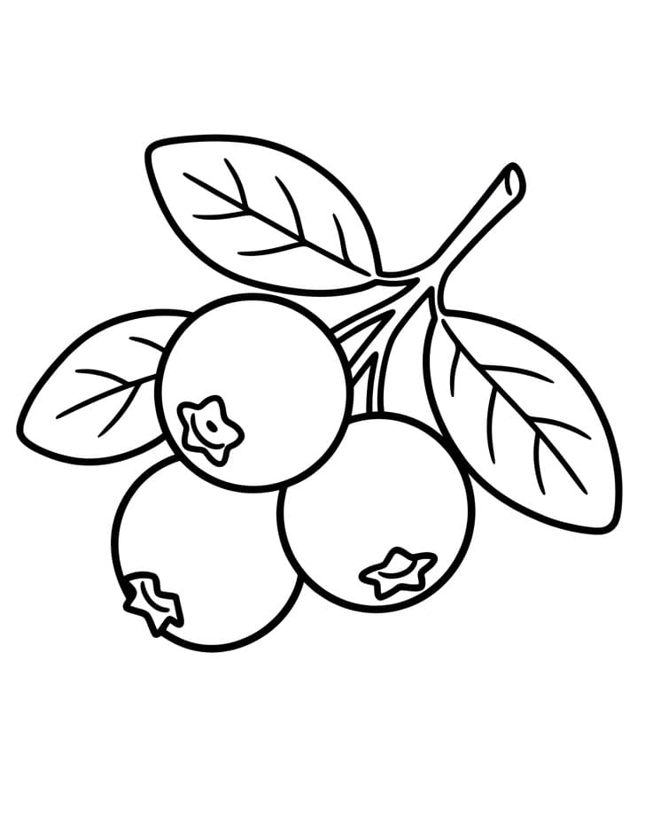Coloriage Myrtilles imprimables gratuites