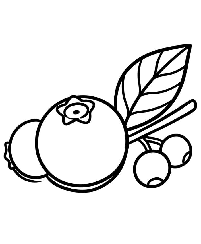 Coloriage Myrtilles sucrées