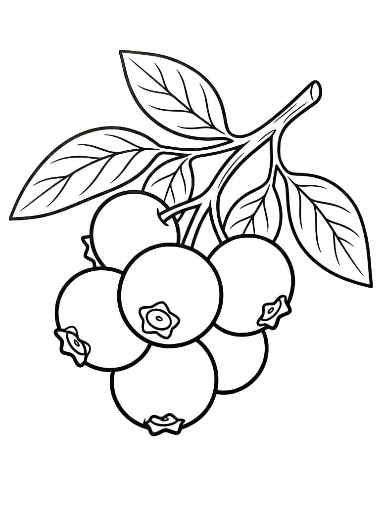 Coloriage Myrtille