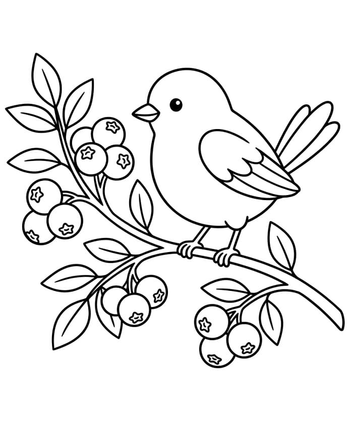 Coloriage Oiseau et myrtilles