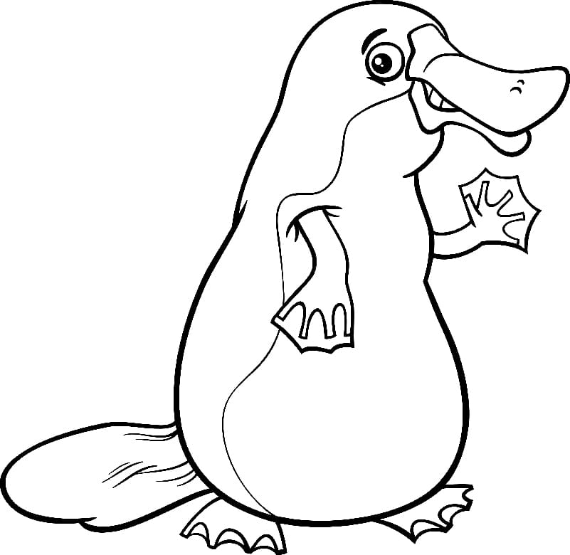 Coloriage Ornithorynque de dessin animé