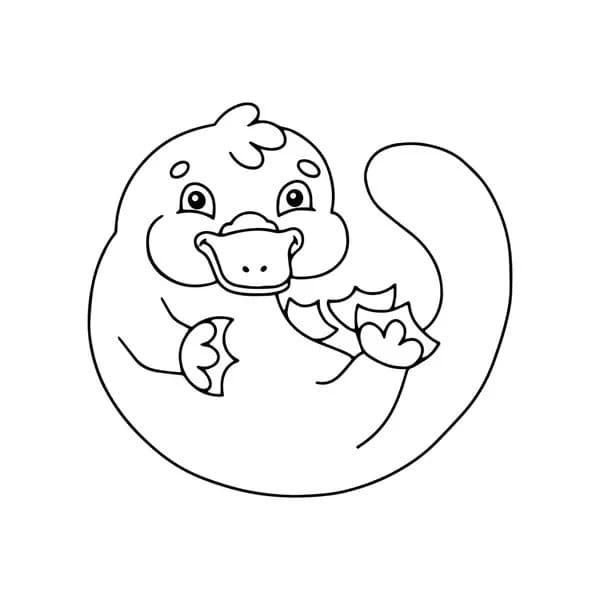 Coloriage Ornithorynque drôle