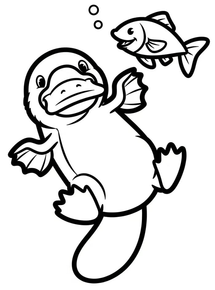 Coloriage Ornithorynque et poisson