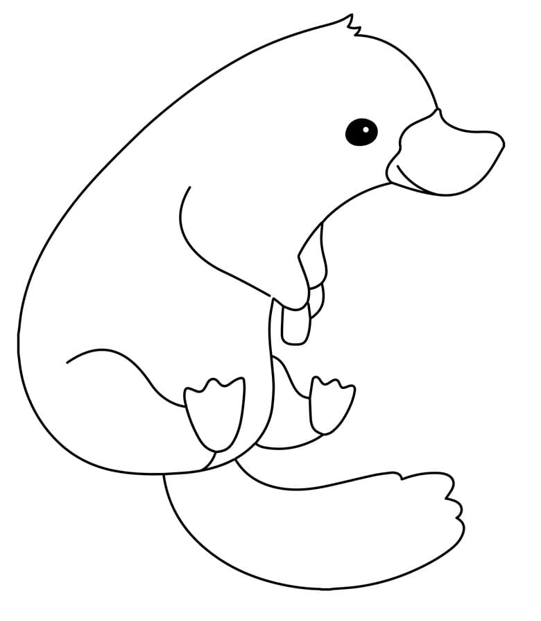 Coloriage Ornithorynque simple