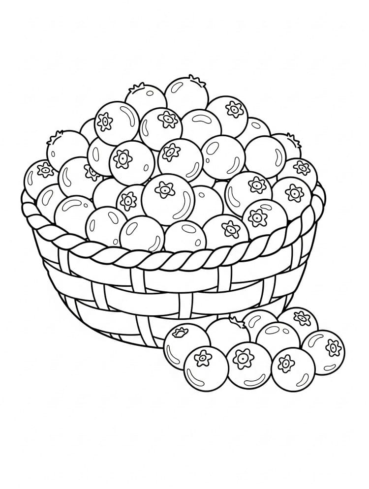 Coloriage Panier de myrtilles