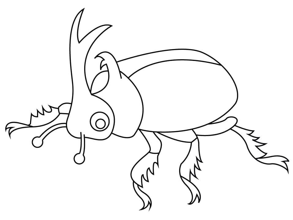 Coloriage Petit Scarabée