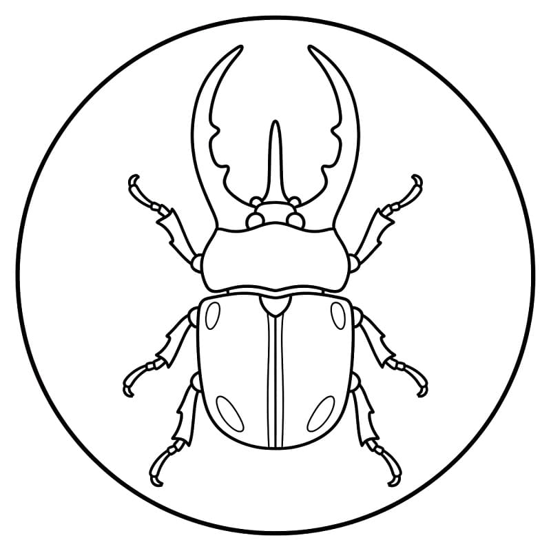 Coloriage Scarabée facile