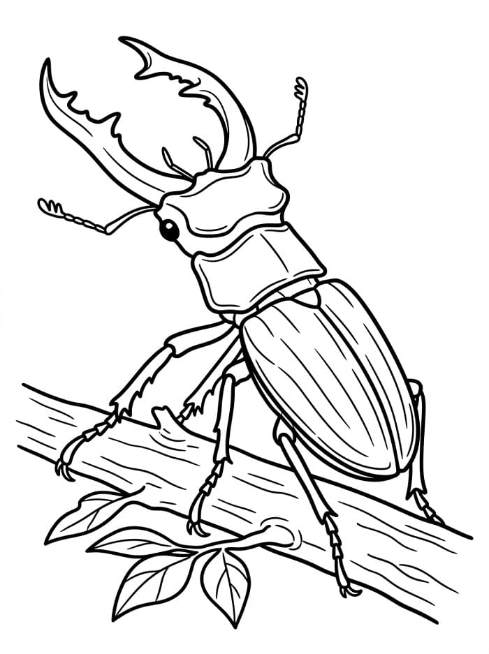 Coloriage Scarabée géniale